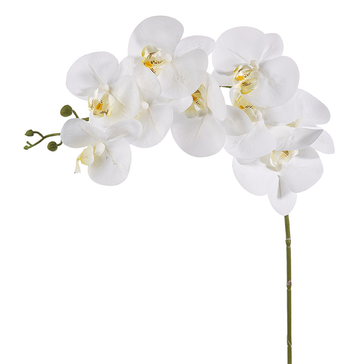 Real Touch White Orchid Stem