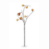 Pear Stem