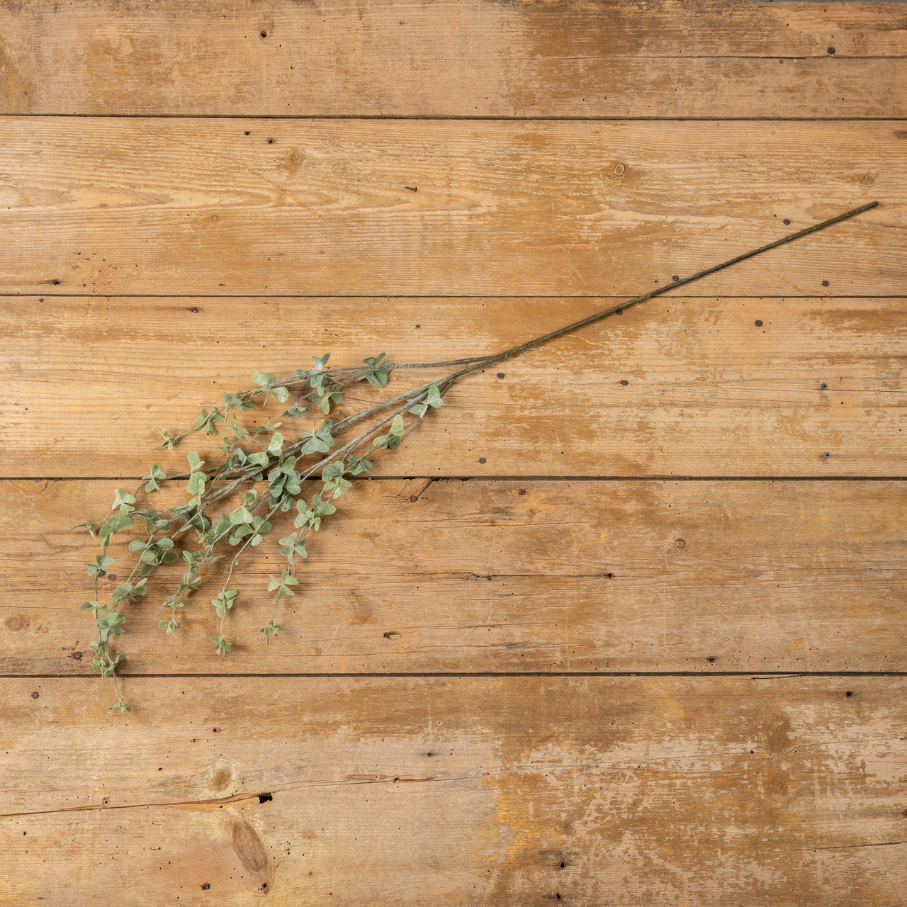 Jess Green Foliage Branch