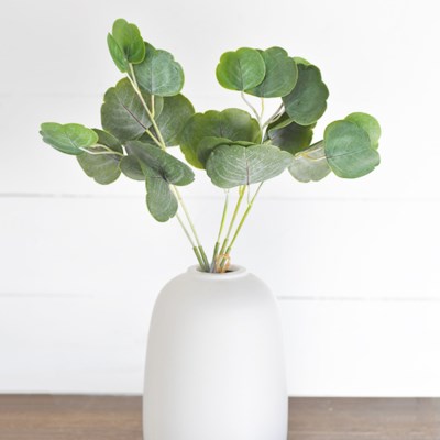 Round Leaf Eucalyptus Bundle
