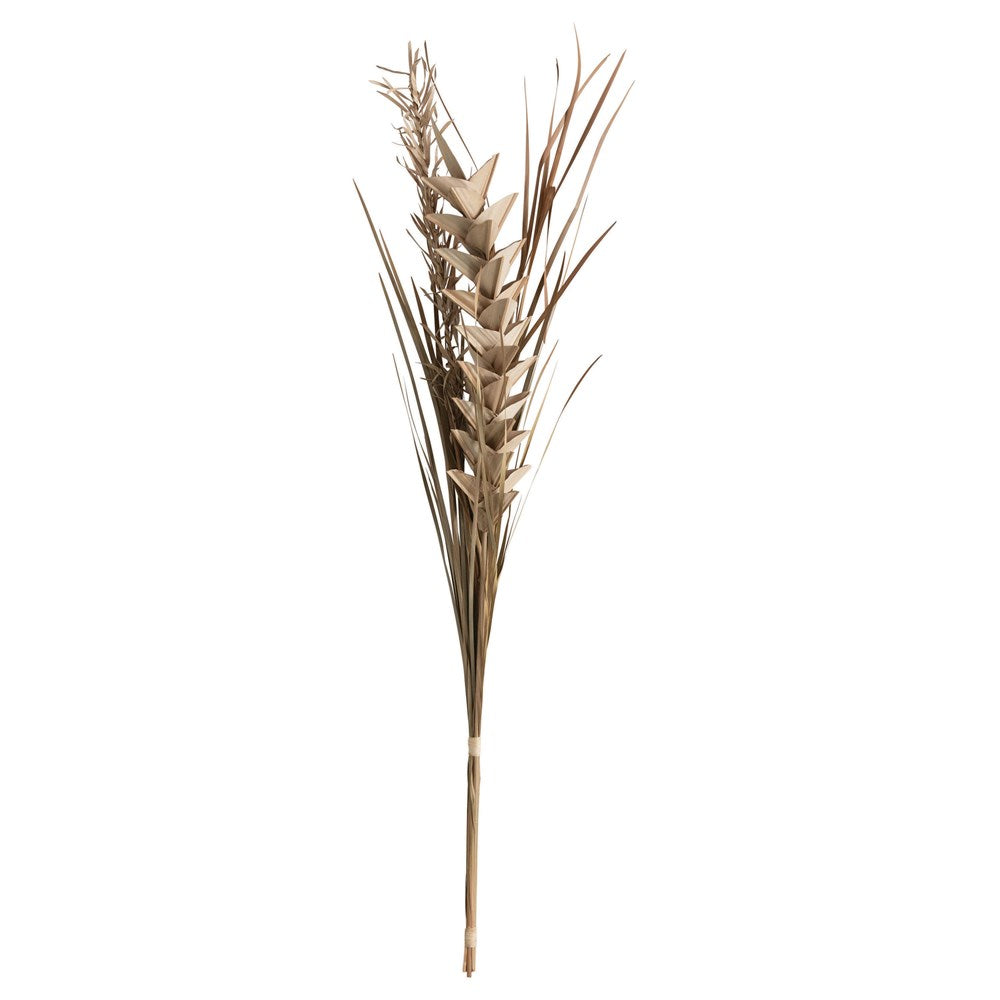 Natural Ginger Dried Bunch