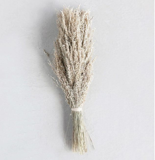 Dried Natural Star Grass Bundle