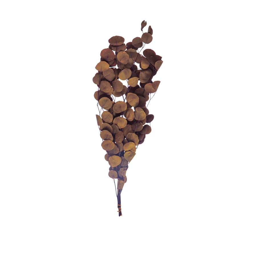 Khaki Dried Eucalyptus Bunch
