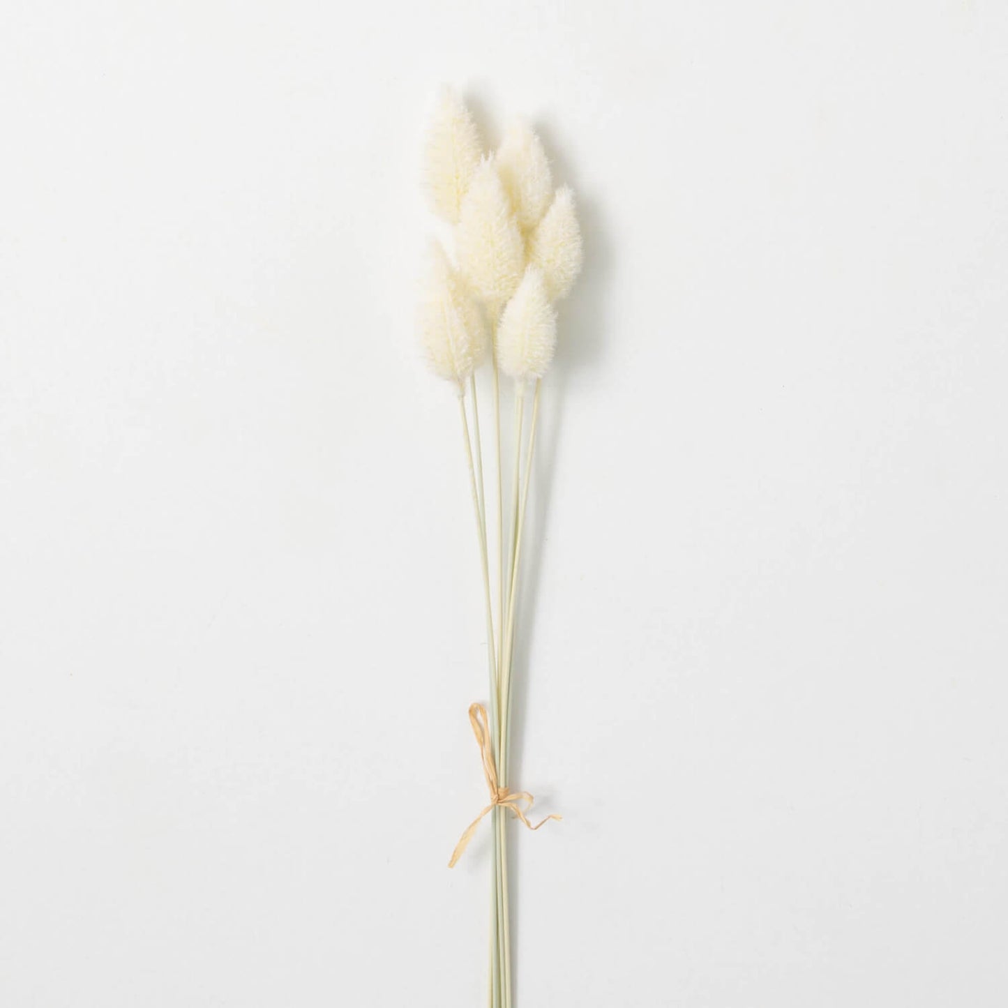 Alabaster Cone Stem Bundle