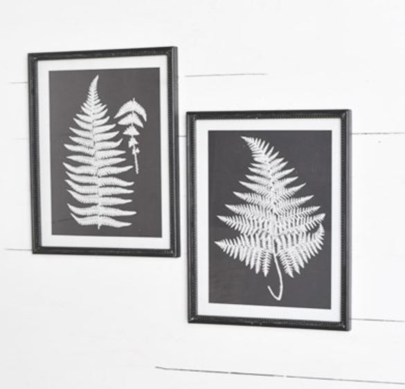 Black and White Fern Print - 2 Styles