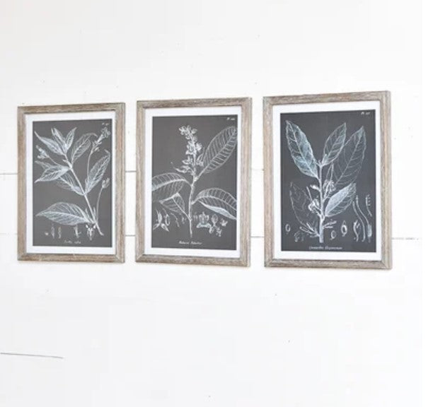 Black and White Leafy Print - 3 Styles