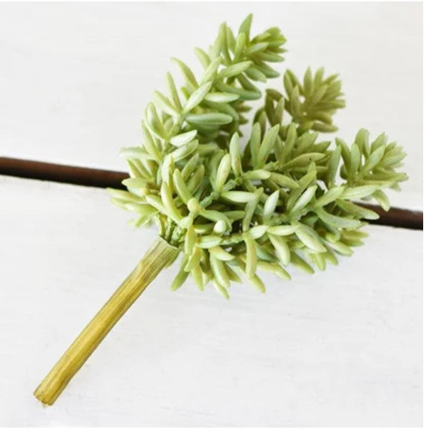 Grouped Succulent Pick