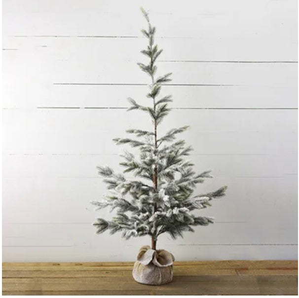 59" Tall Tree in Burlap