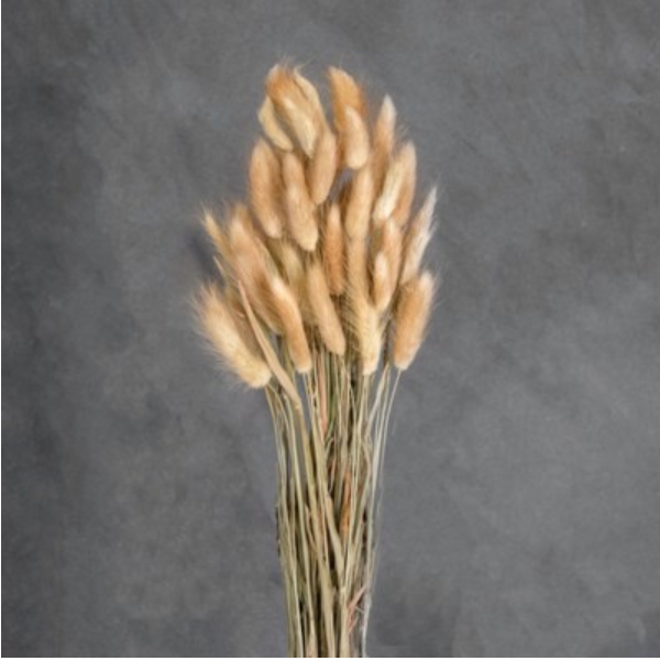 Natural Rabbit Tail Bundle