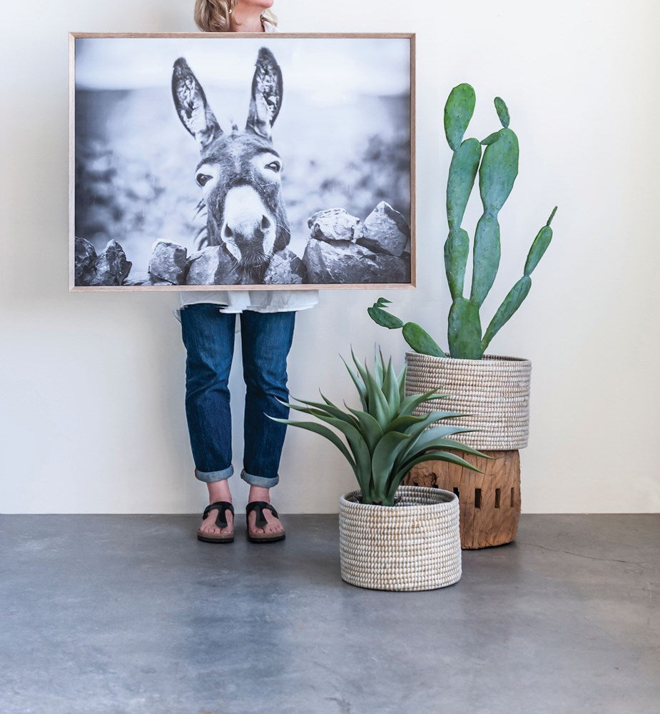 Wall Decor & Art