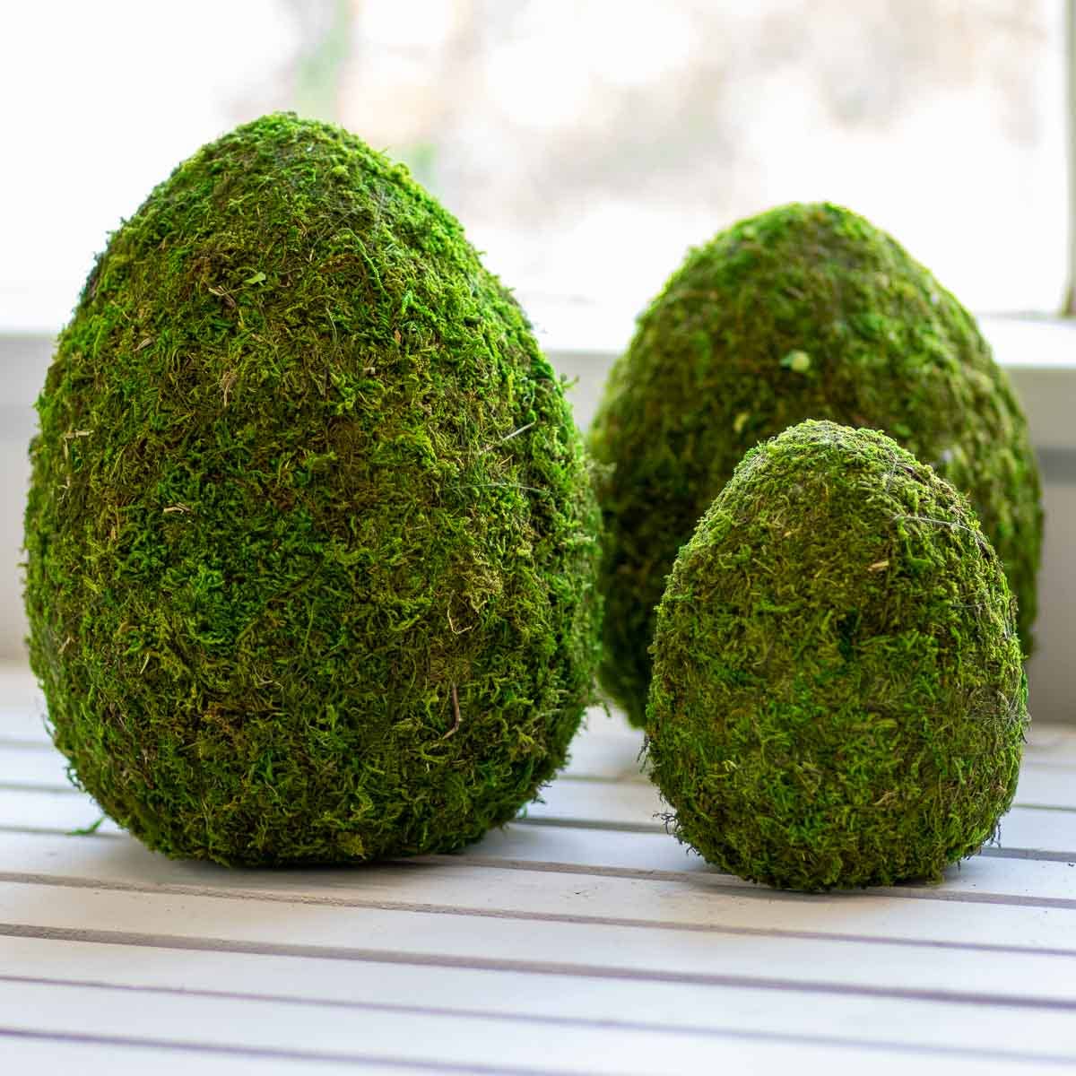 Moss Egg Decor   Green   8"