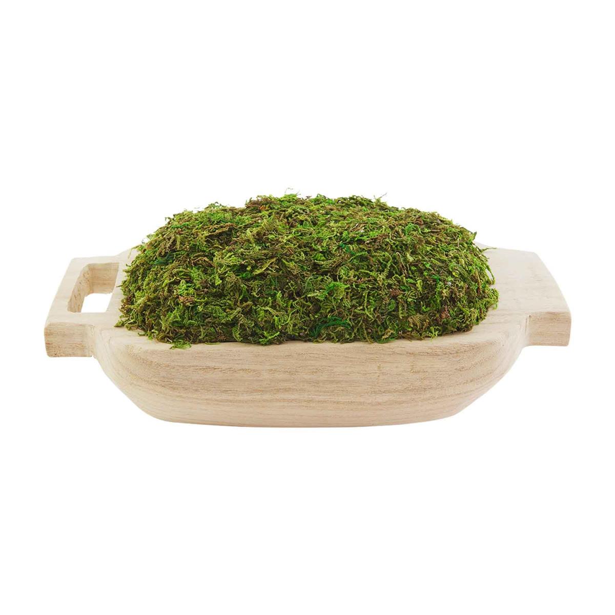 Moss Pot  with Handles