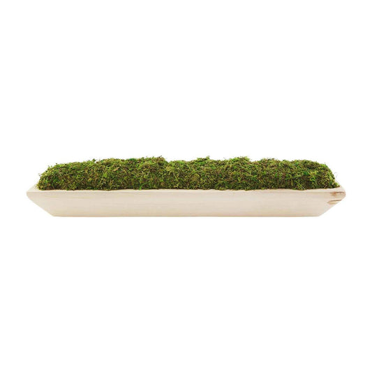 Moss Tray