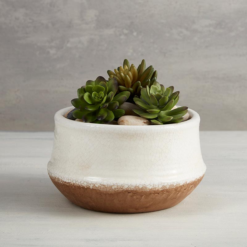 White Crackle and Rust Bowl Planter