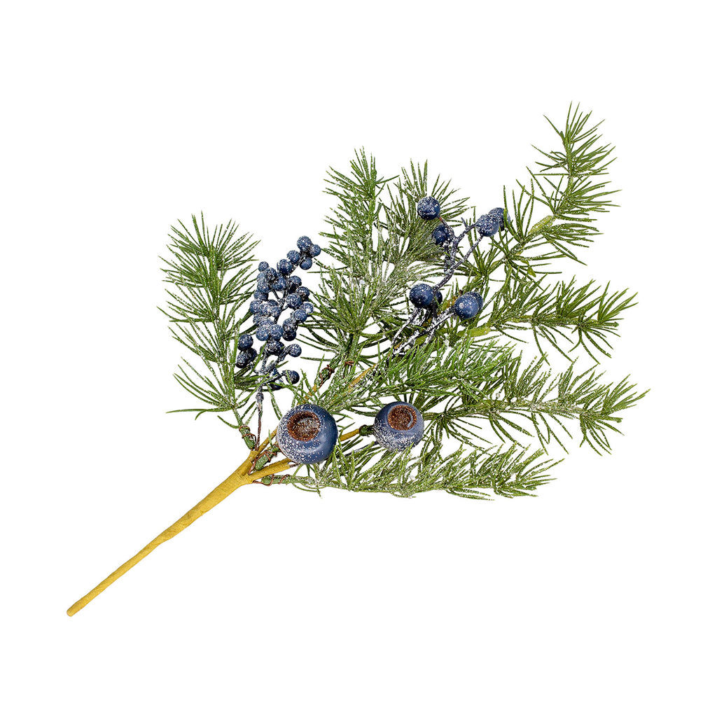 Blueberry Cypress Pick