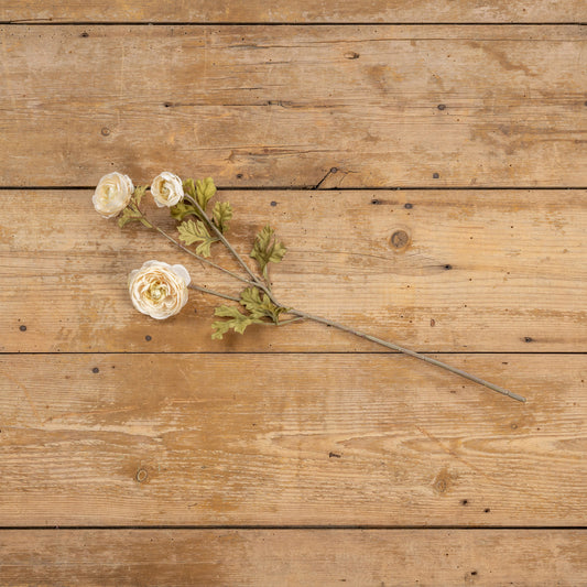 Beige Ranunculus Spray