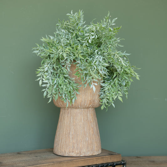 Soft Green Tea Leaf Bush