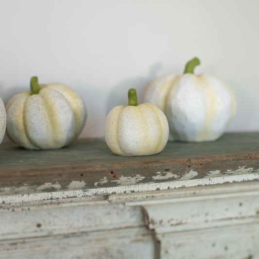 Extra Small White Speckled Pumpkin
