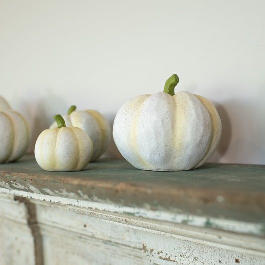Large White Speckled Pumpkin
