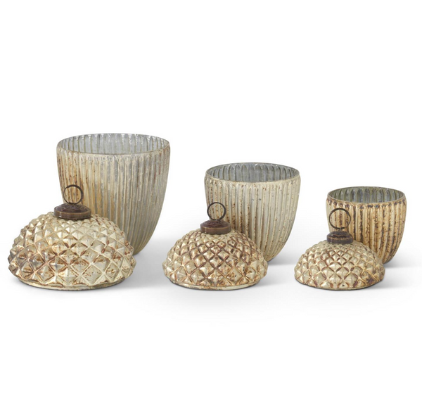Champagne Glass Acorn Container- 3 Sizes