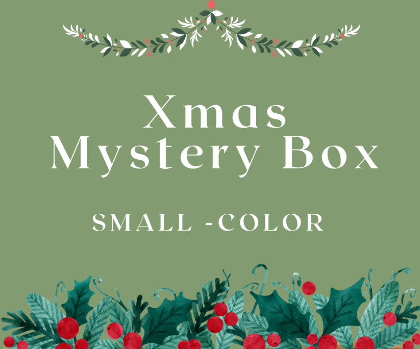 Nov. Xmas Mystery Box- Small - Color