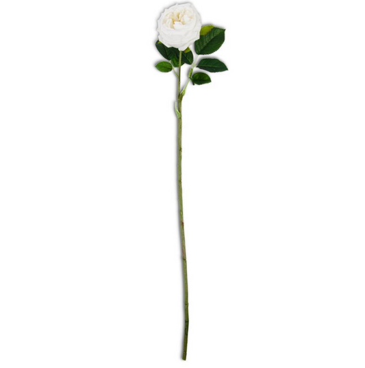 White Real Touch Austin Rose Stem