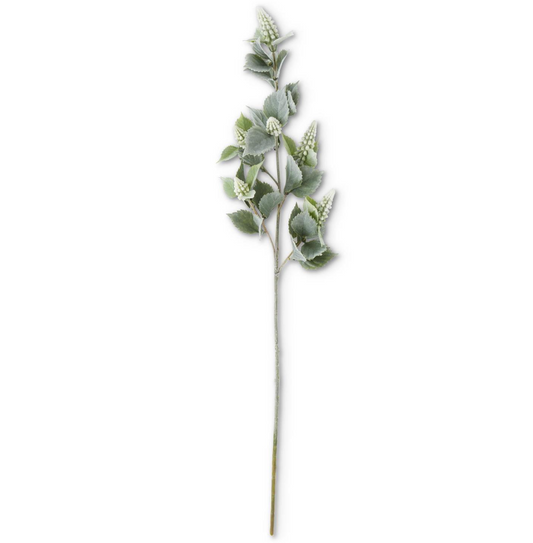White Grape Hyacinth Stem
