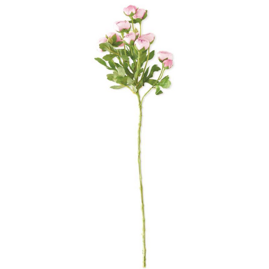 Mini Ranunculus Spray - Pink