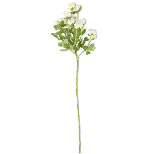 Mini Ranunculus Spray- White