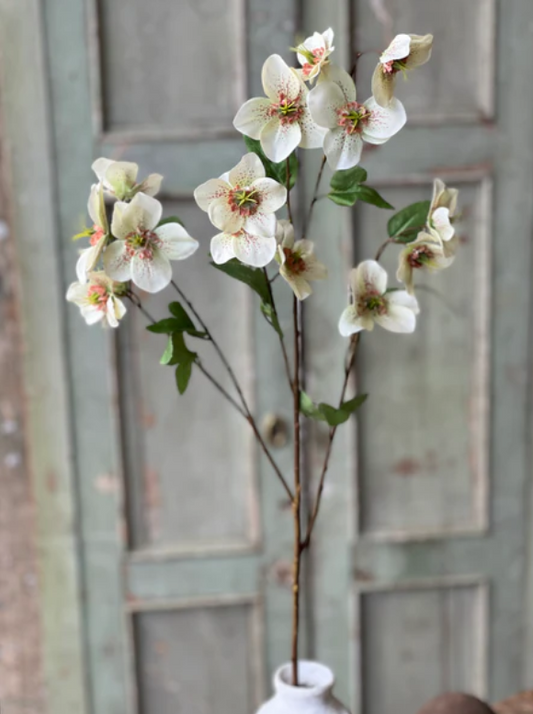 Lenten Boughs Spray - Cream