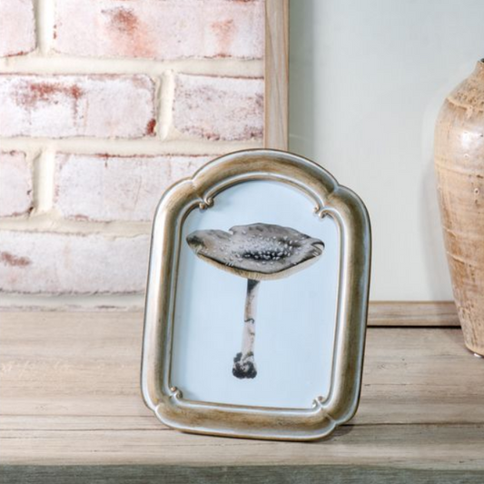 Vintage Arch Frame