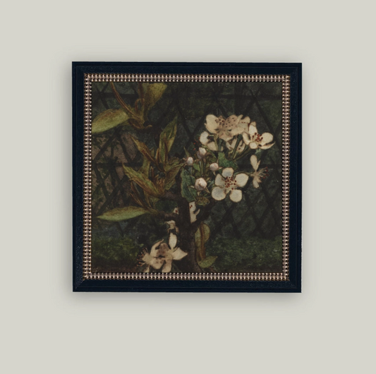 Dark Apple Blossom Framed Antique Art