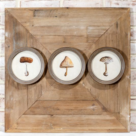 Mushroom Wall Art - 3 Styles