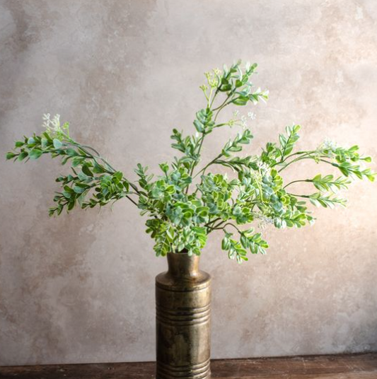 5 Stem Eucalyptus Bush