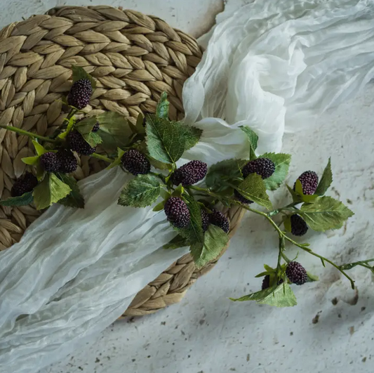 Mulberry Stem