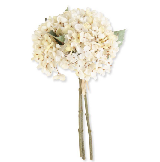 Cream Two Tone Hydrangea Bundle