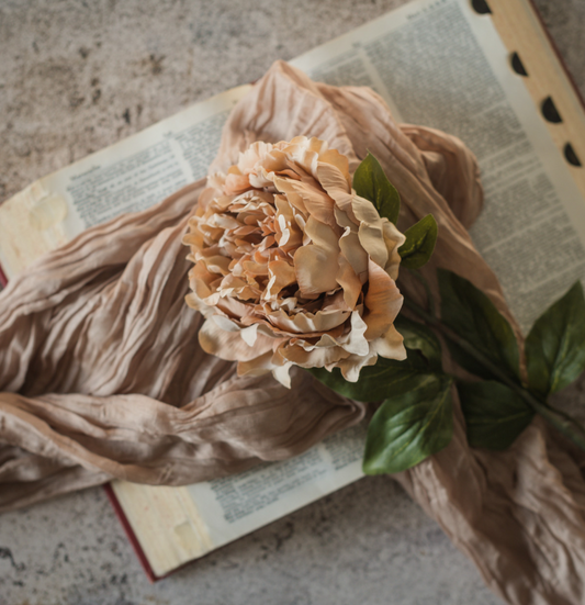Tan Peony Stem