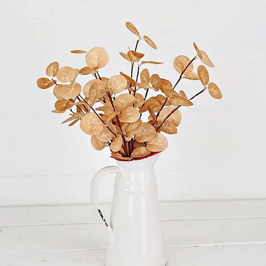 Beige Silver Dollar Eucalyptus Bush