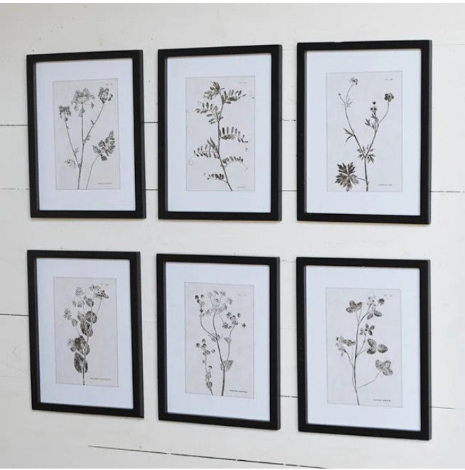 Garden Black and White Framed Print