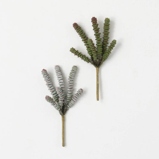 Button Succulent Stem - 2 Colors