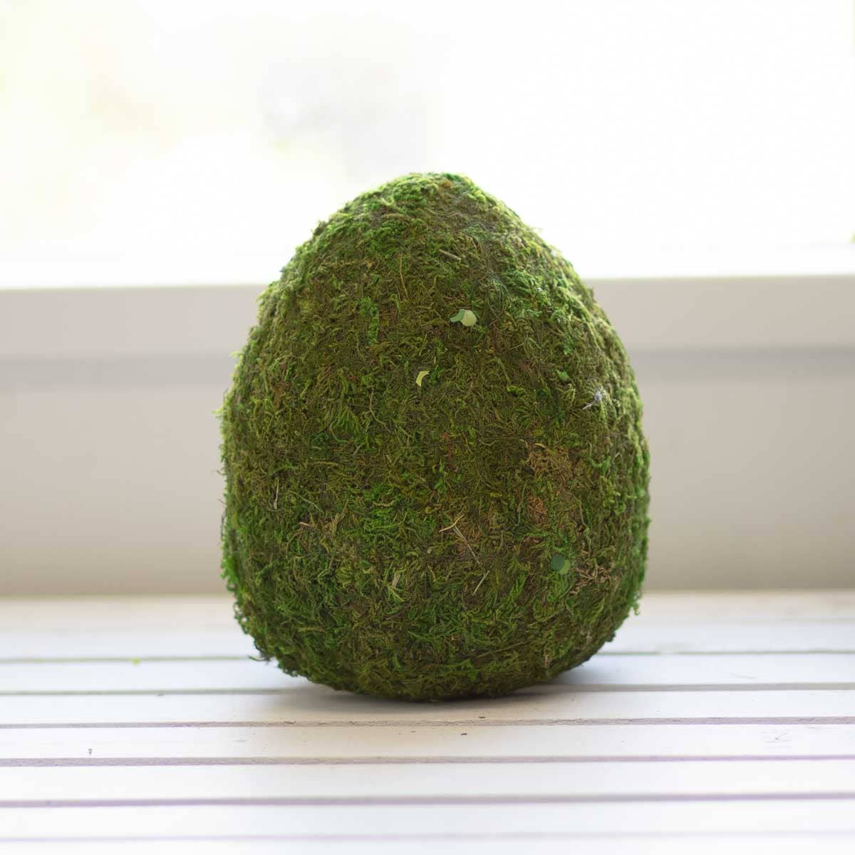Moss Egg Decor   Green   8"