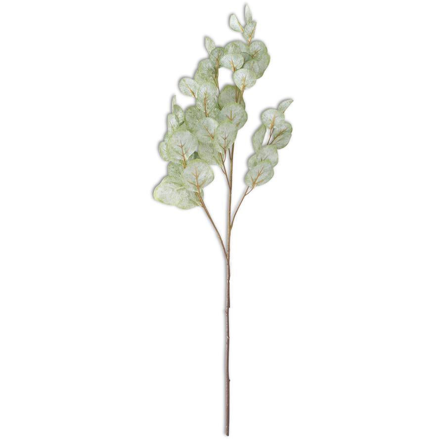 Soft Green Flat Leaf Eucalyptus Stem