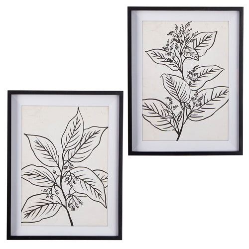 Botanical Sketch Framed Print-2 Styles