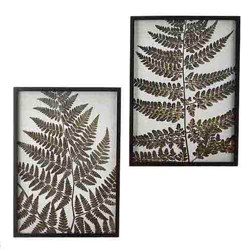 Large Fern Black and White Print - 2 Styles