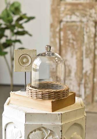 Bell Jar with Willow Base