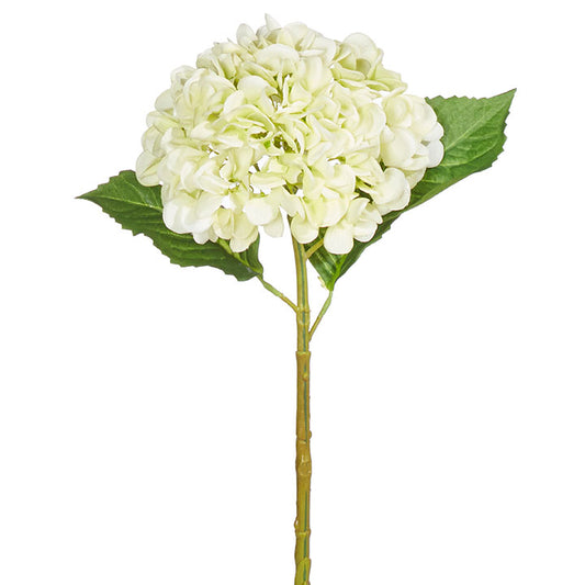 Anne Real Touch Light Green Hydrangea