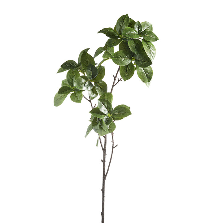 Ginnie Leaf Branch