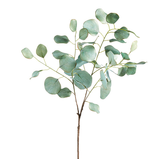 Evie Eucalyptus Spray