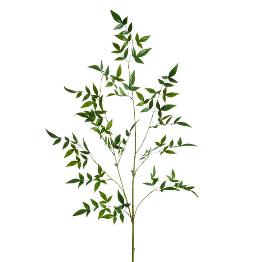 Tall Green Leaf Branch