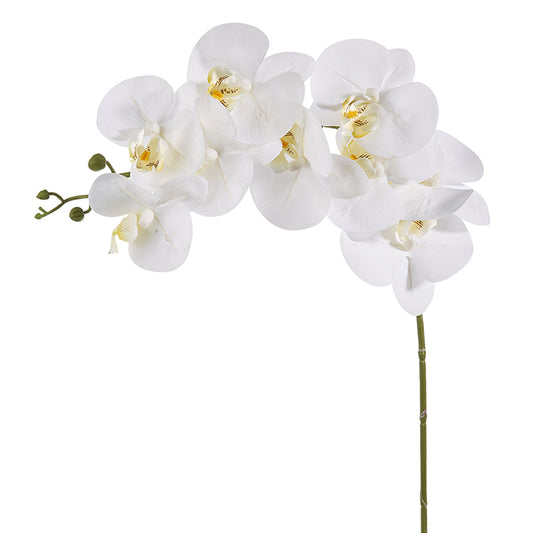 Real Touch White Orchid Stem